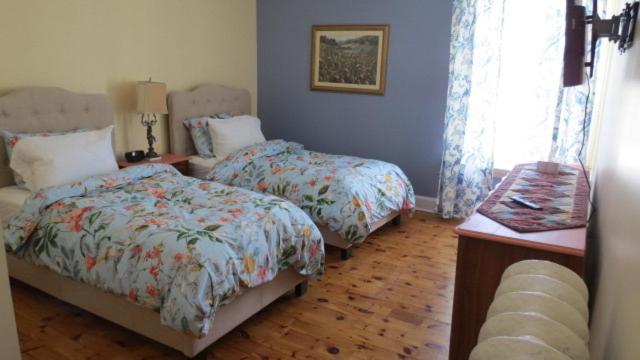 The Jellybean Heritage Inn St. John's Bagian luar foto